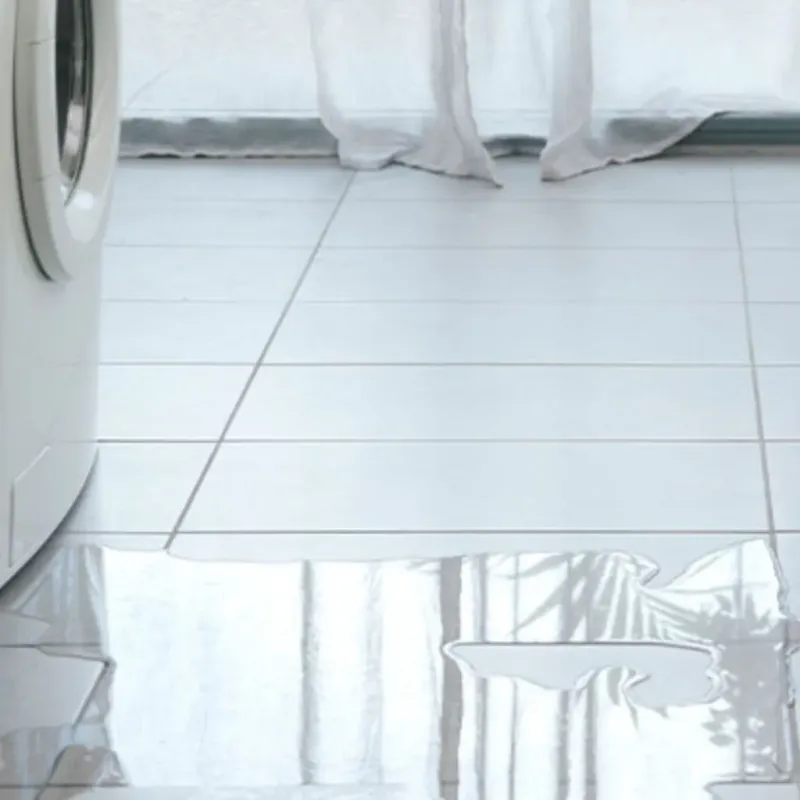 Appliance Leak Cleanup in Lake Forest, CA