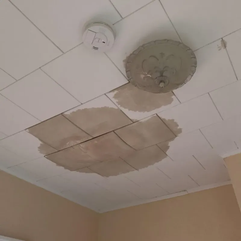 Ceiling Water Damage Repair in Lake Forest, CA