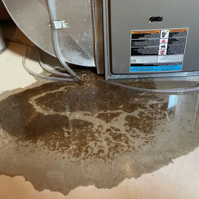 Pipe Burst and Leak Restoration in Lake Forest, CA